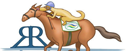 Randwick City Council iFerret logo