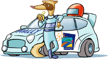 iferret rally car