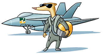 iferret pilot