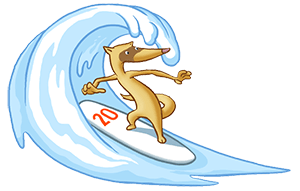 iferret surfing